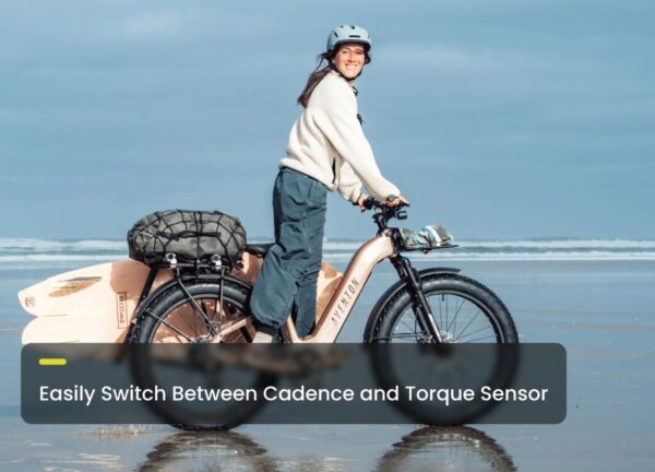 Aventon – Aventure 3 Ebike