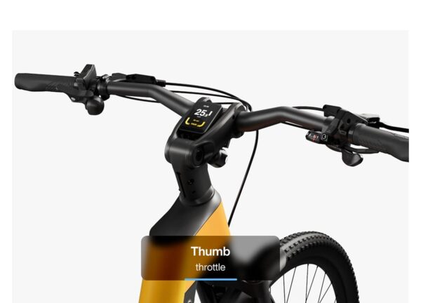 Urtopia Carbon Fusion Pro E-Bike