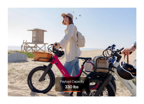 Carbon Joy Ultra E-Bike