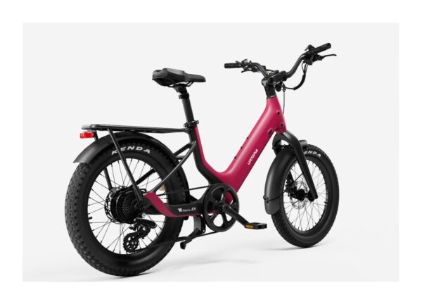 Carbon Joy Ultra E-Bike