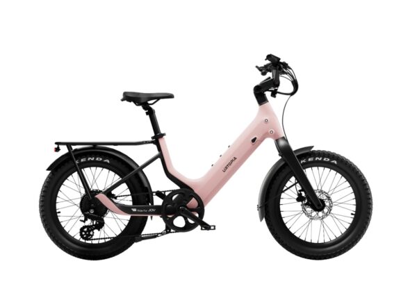Carbon Joy Ultra E-Bike