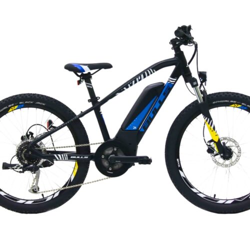 BULLS BIKE TWENTY4 E