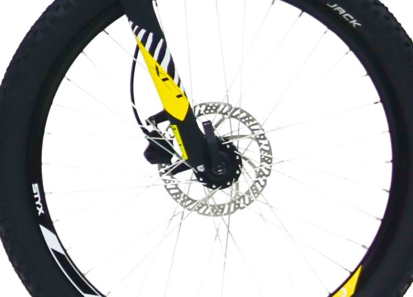 BULLS BIKE TWENTY4 E