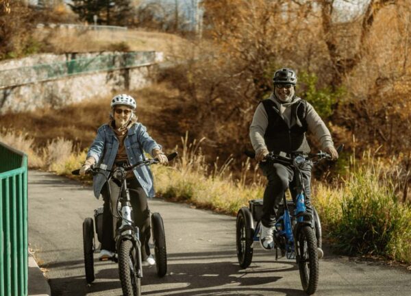 Velotric Triker Electric Tricycle