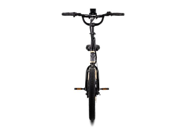 Lectric – XP Lite 2.0