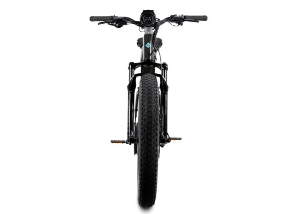 Lectric – XPeak 2.0